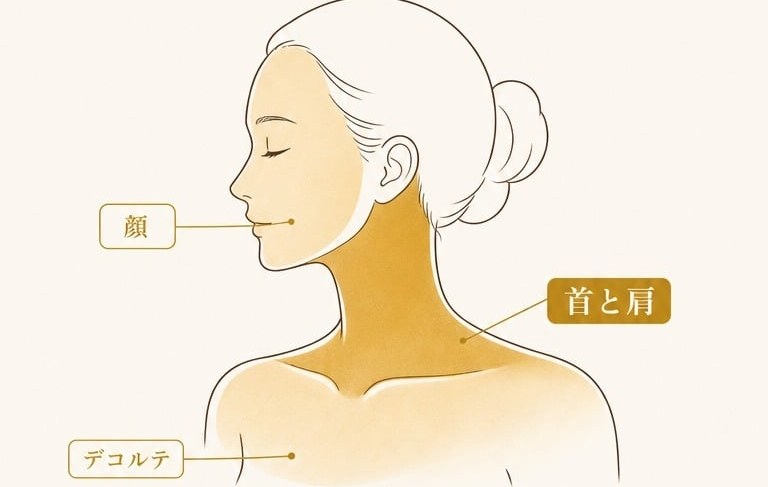 顔・首と肩・デコルテのつながりを示すイラスト